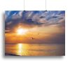 Early morning sunrise over the sea and a birds Canvas Print or Poster
