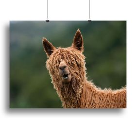 The Muppet Show Canvas Print or Poster (Type: Poster Print, size: 28" x 20" / 70cm x 50cm approx)
