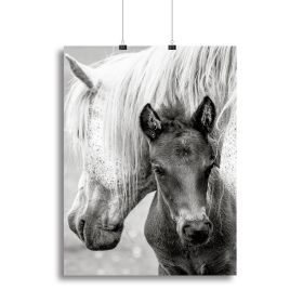 The Foal Canvas Print or Poster (Type: Standard Framed Canvas Print, size: 16" x 12" / 42cm x 30cm approx)