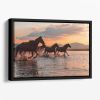 WATER HORSES Floating Framed Canvas