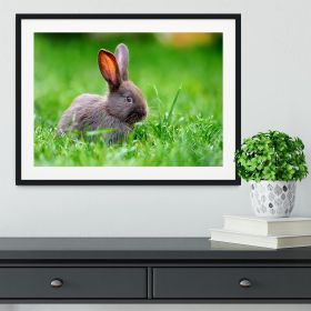 Little rabbit on green grass Framed Print (Color: Black/With White Edging, size: 24" x 16" / 60cm x 40cm (approx))