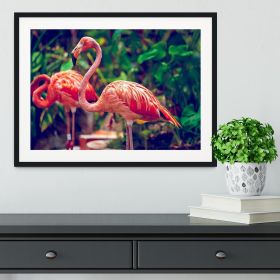 Pink flamingo close-up in Singapore zoo Framed Print (Color: Black/No White Edging, size: 24" x 16" / 60cm x 40cm (approx))