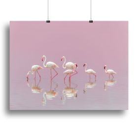 Flamingos Canvas Print or Poster (Type: Standard Framed Canvas Print, size: 32" x 24" / 80cm x 60cm approx)
