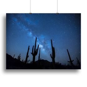 Star Night Captus Canvas Print or Poster (Type: Poster Print, size: 40" x 26" / 100cm x 65cm (approx))