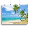 tropical beach with coconut palm Canvas Print or Poster