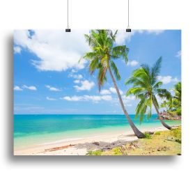 tropical beach with coconut palm Canvas Print or Poster (Type: Poster Print, size: 28" x 20" / 70cm x 50cm (approx))