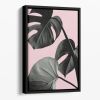Monstera Pink No 04 Floating Framed Canvas
