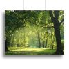 Aurora Snow Scene Canvas Print or Poster