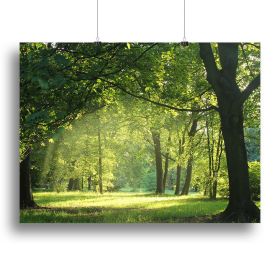 Aurora Snow Scene Canvas Print or Poster (Type: Poster Print, size: 32" x 24" / 80cm x 60cm (approx))
