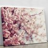 Spring Cherry blossoms Canvas Print or Poster