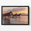 WATER HORSES Floating Framed Canvas