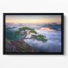 On The Rock Floating Framed Canvas