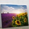 Lavender and sunflowers fields Canvas Print or Poster