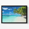 coco palms on paradise beach Floating Framed Canvas
