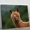 The Muppet Show Canvas Print or Poster