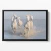 Running White Horses Floating Framed Canvas